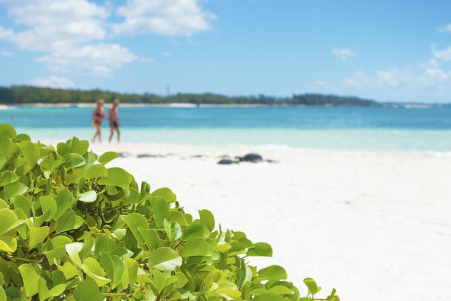 FULL DAY ILE DES DEUX COCOS
