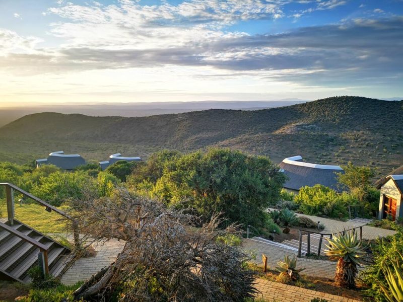 KUZUKO LODGE BUSH ESCAPE 2021