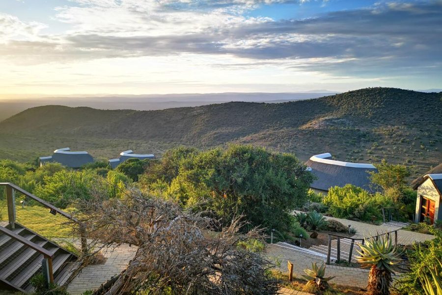 KUZUKO LODGE BUSH ESCAPE 2021