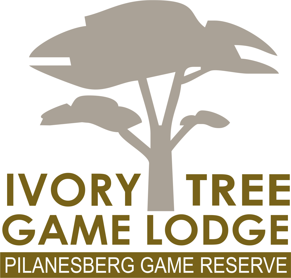 IVORY TREE LODGE PILANESBURG