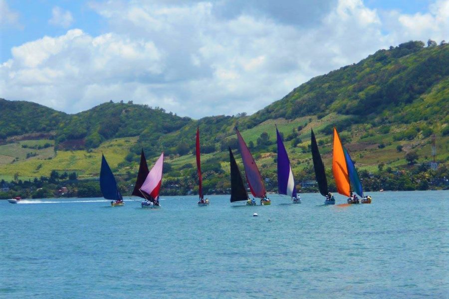 FULL DAY EAST COAST CATAMARAN CRUISE