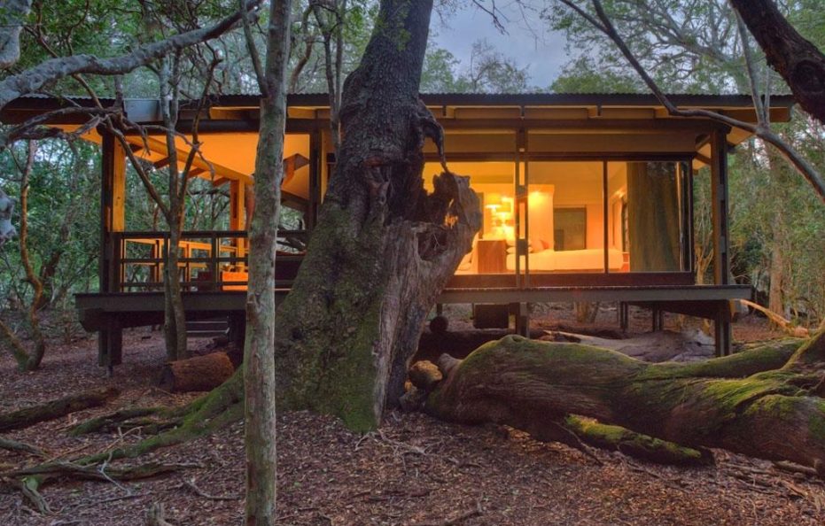 PHINDA PRIVATE GAME RESERVE