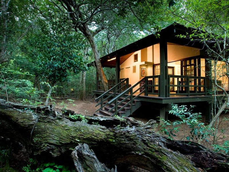 PHINDA GAME RESERVE