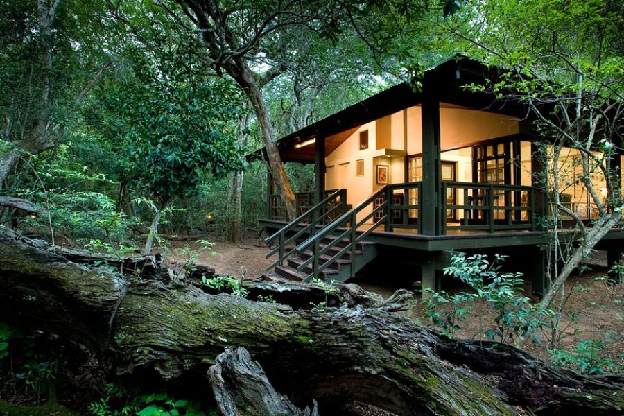 PHINDA PRIVATE GAME RESERVE