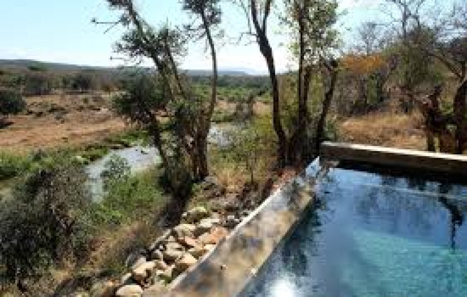 AMAKHOSI SAFARI LODGE