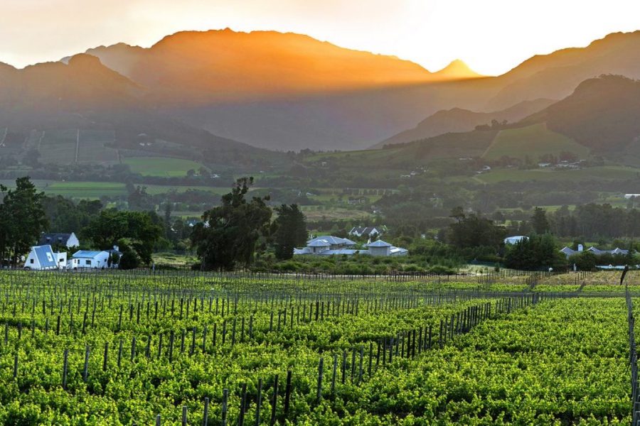 STELLENBOSCH WINELANDS TOUR