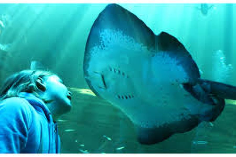 TWO OCEANS AQUARIUM