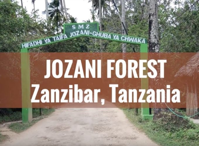 JOZANI FOREST TOUR