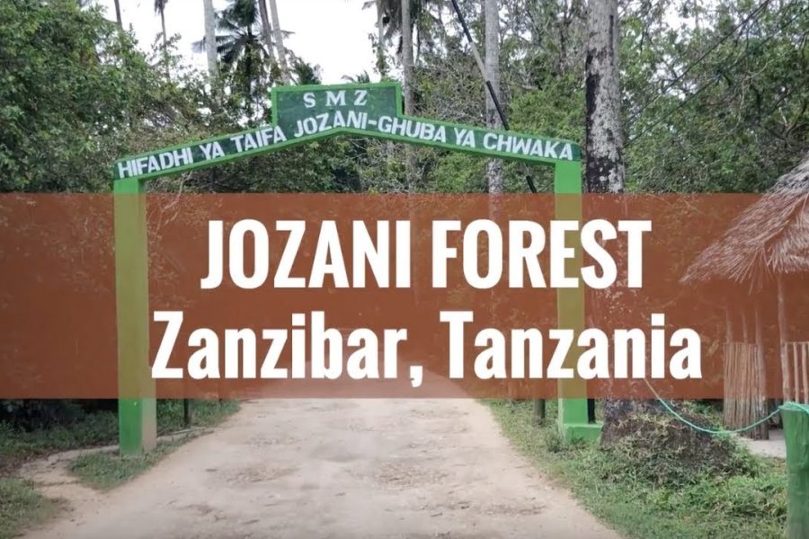 JOZANI FOREST TOUR