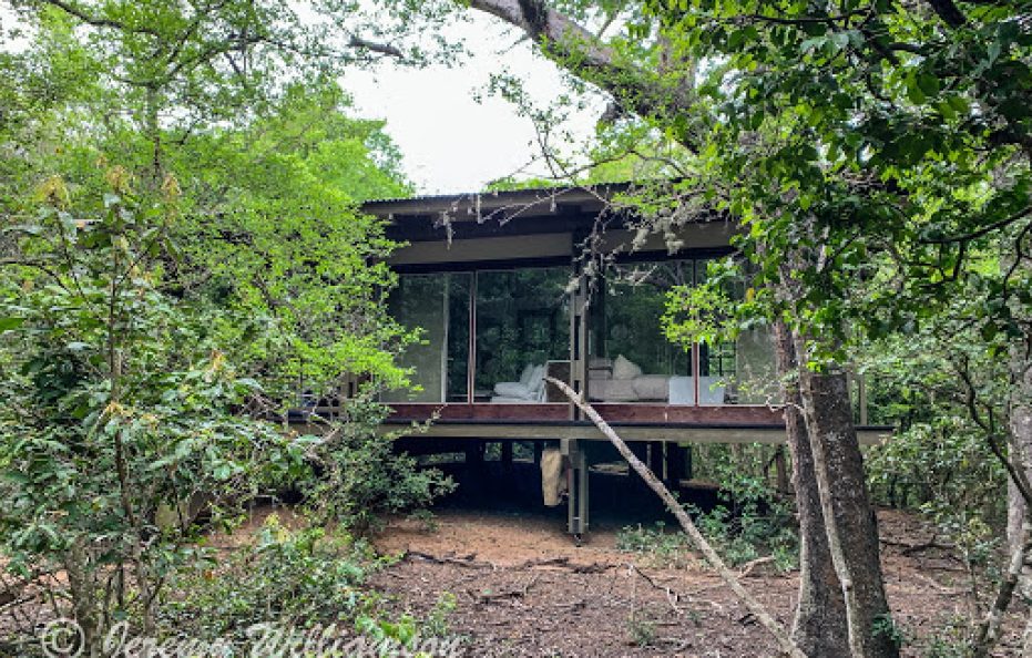 FOREST LODGE
