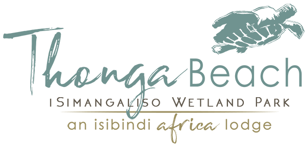 THONGA BEACH LODGE – ISIMANGALISO WETLAND PARK