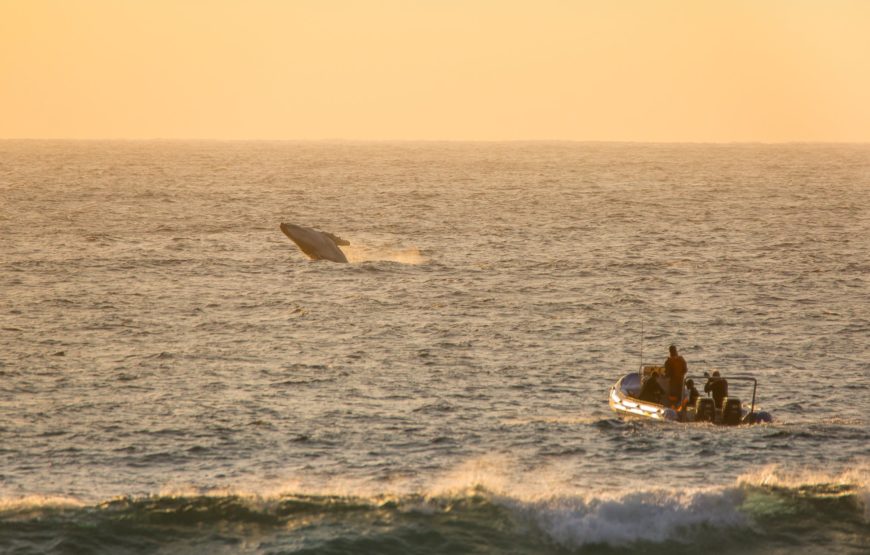 THONGA BEACH LODGE – ISIMANGALISO WETLAND PARK