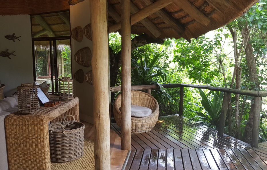 Forest View Room