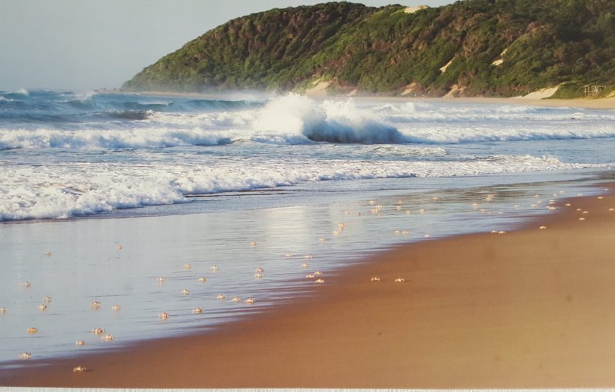 THONGA BEACH LODGE – ISIMANGALISO WETLAND PARK