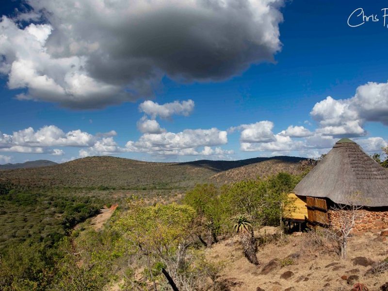 LEOPARD MOUNTAIN LODGE