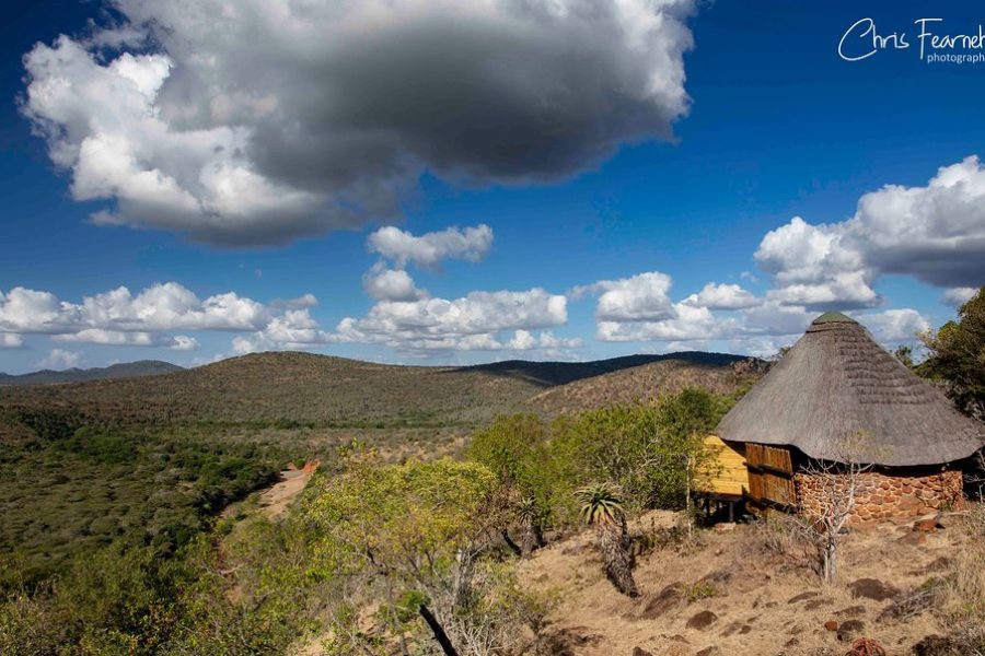 LEOPARD MOUNTAIN LODGE