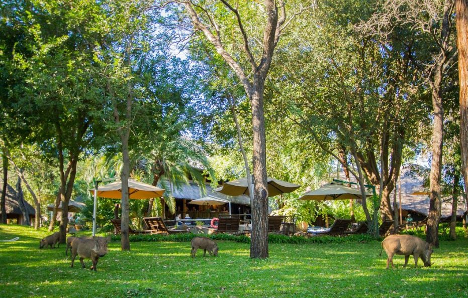 Lokuthula Lodges – Victoria Falls