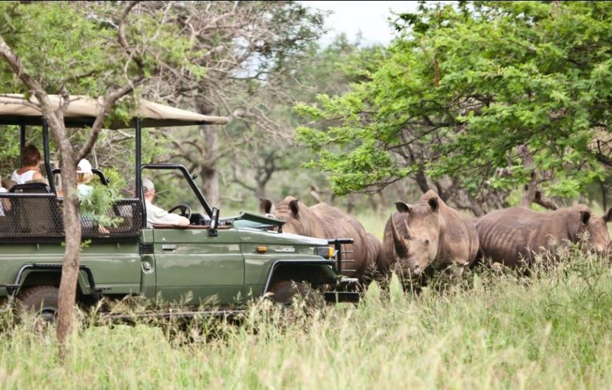 4NIGHTS KZN ROMANTIC ESCAPE PACKAGE – RHINO RIVER LOGDE + NIBELA LODGE