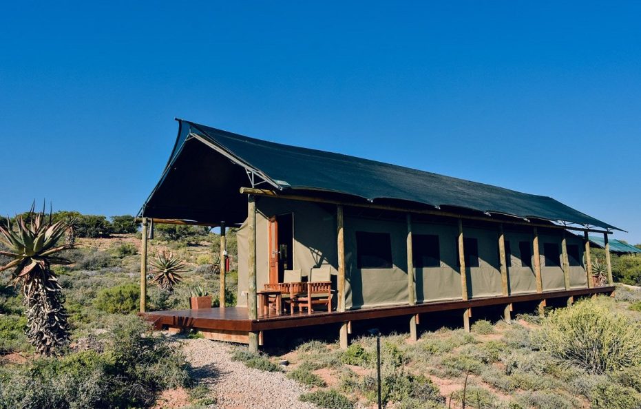 Luxury Tent