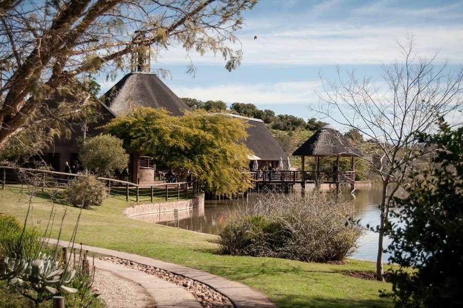 BUFFELSDRIFT GAME LODGE -NEAR OUDTSHOORN