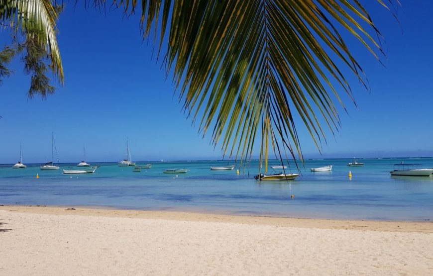 COIN DE MIRE ATTITUDE – MAURITIUS